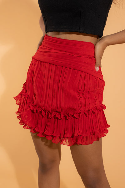 Pleated Skirt