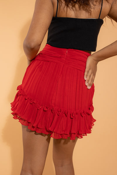 Pleated Skirt